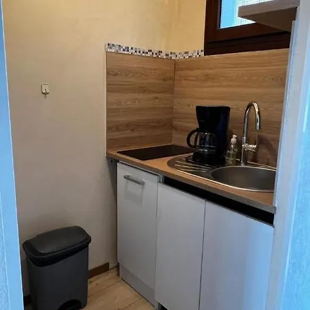 Lägenhet Beaulieu T1bis Wifi Parking 200m Des Thermes